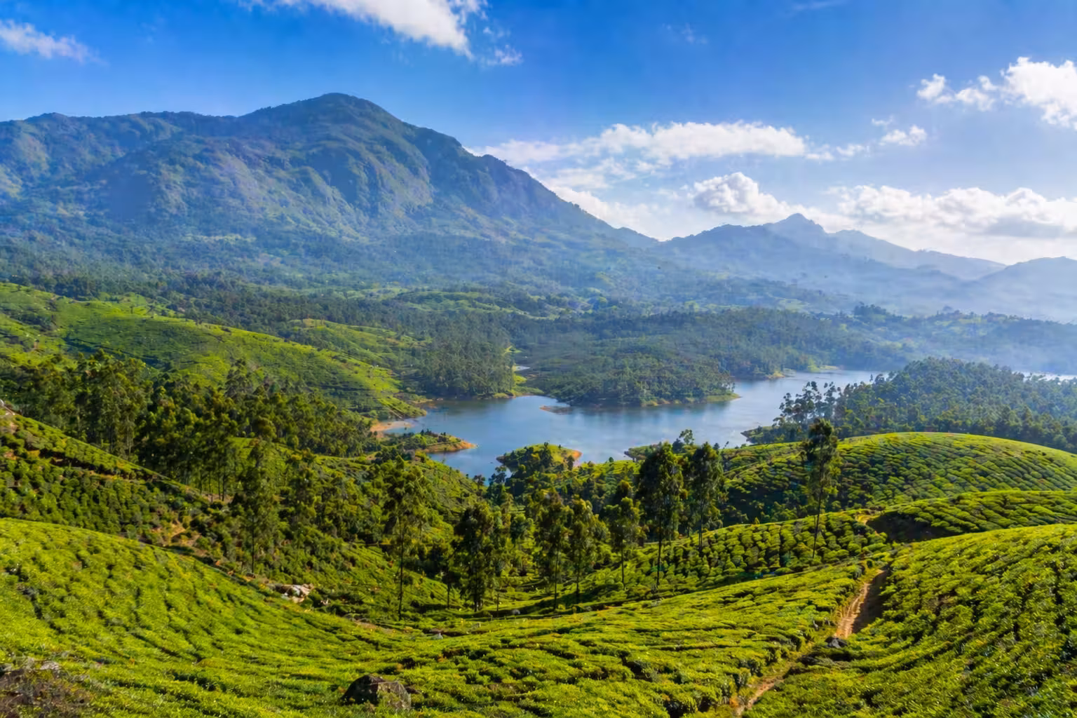 Munnar one way taxi destination